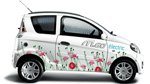 Mandataire Microcar M.Go Electric