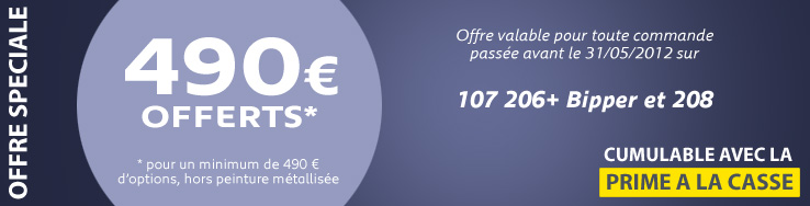 Remise sur les options Peugeot
